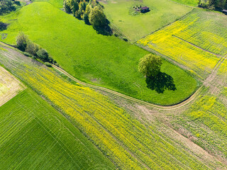 Acre, drive way and trees from the drone, aerial