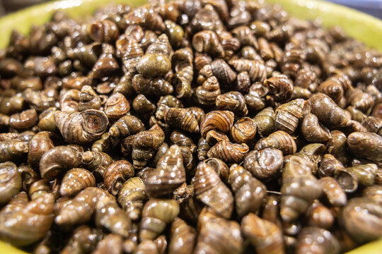 Fresh snails in a bowl with shiny shells in vietnamese eco market