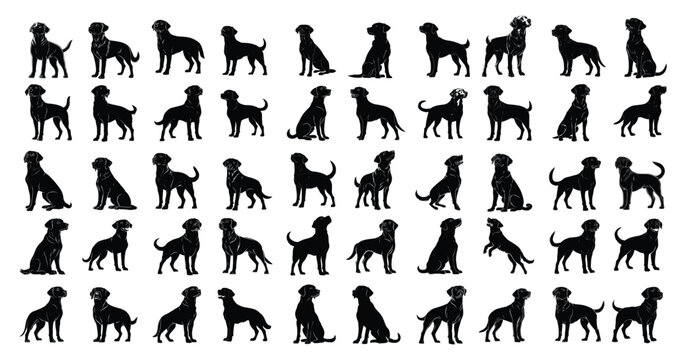 Set of collection Dog Labrador Retriever Isolated vector illustration editable
