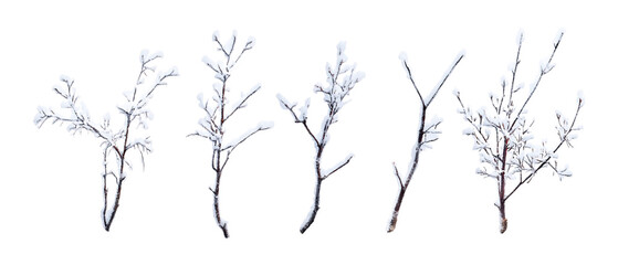 Obraz premium Pack of Frosty Branches Against Transparent Background for Winter Decor, Seasonal Design, or Holiday Illustration Projects