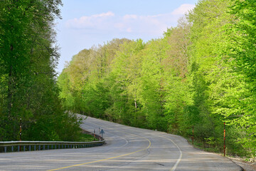 Empty countryside road curving through lush forest
Curved asphalt road cuts through a green forest...