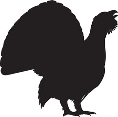 Capercaillie Silhouette Vector Illustration