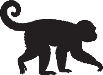 Capuchin Monkey Silhouette Vector Illustration