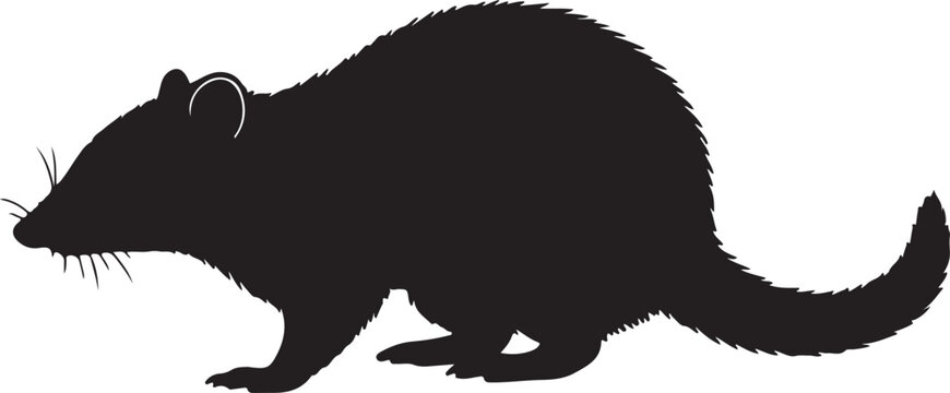 Dasyure Silhouette Vector Illustration