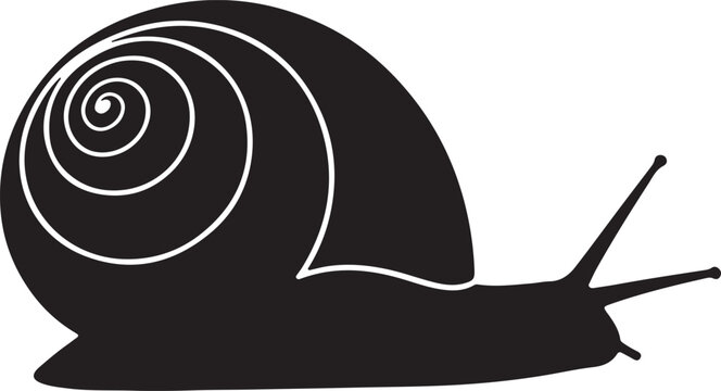 Nerite Snail Silhouette Vector Illustration