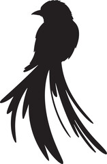 Quetzal Silhouette Vector Illustration