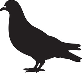 Racing Homer Pigeon Silhouette Vector Illustration