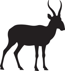 Saiga Antelope Silhouette Vector Illustration © Digital Dreams Studi