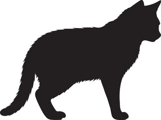Sand Cat Silhouette Vector Illustration