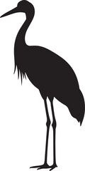 Sarus Crane Silhouette Vector on White Background
