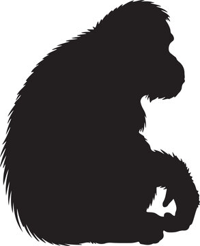 Tapanuli Orangutan Silhouette Vector on White Background