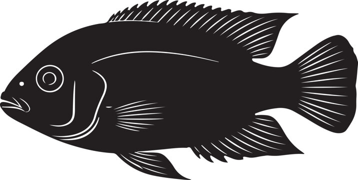 Uaru Cichlid Fish Silhouette Vector on White Background