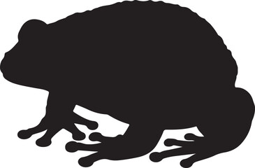 Vietnamese Mossy Frog silhouette on white background