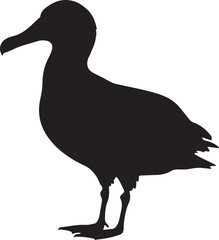Wandering Albatross silhouette on white background