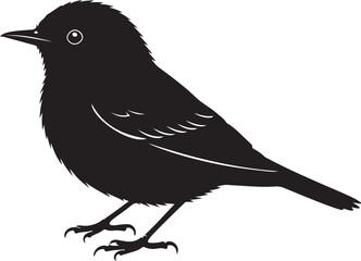 Warbler silhouette on white background