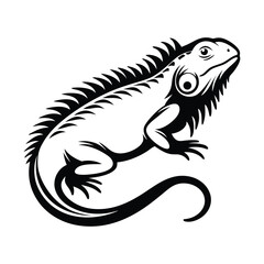 Reptile Iguana Black and White Silhouette, Curled Tail, Lizard Isolated on White Background