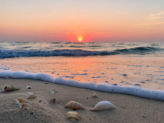 Seashells on Sandy Beach at Sunset, Ocean Waves and Colorful Sky, Natural Coastal Landscape with Copy Space