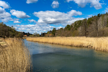 River stream channel canal. Spring landscape. Scandinavia Sweden.
