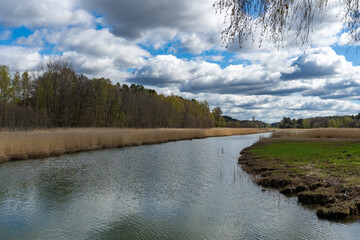 River stream channel canal. Spring landscape. Scandinavia Sweden.