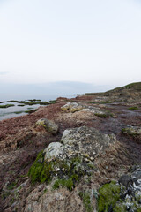 Seaweed-covered rocky shore in Igneada, Turkey
Wide-angle coastal view of Begendik in Demirkoy, Kirklareli, Turkey, showing seaweed-covered rocks, calm waters, and a soft April horizon.
