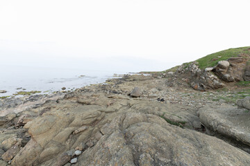 Seaweed-covered rocky shore in Igneada, Turkey
Wide-angle coastal view of Begendik in Demirkoy, Kirklareli, Turkey, showing seaweed-covered rocks, calm waters, and a soft April horizon.

