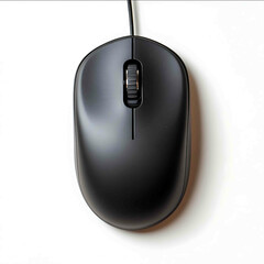 computer mouse on white background