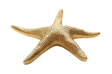 Golden starfish on white background elegant nautical decor beach theme luxury feel textured surface