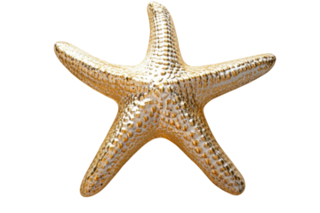 A shimmering gold starfish a coastal treasure elegantly displayed against a soft white background