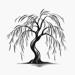 Weeping willow tree vector black and white silhouette nature garden landscape branch foliage plant design art