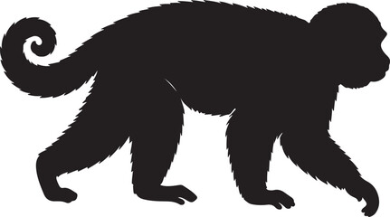 Capuchin Monkey Vector Silhouette