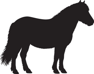 Dartmoor Pony Vector Silhouette