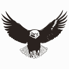 Obraz premium Eagle bird animal flying wildlife bald nature predator freedom majestic wings illustration art design