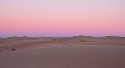 Desert landscape at sunrise or sunset
