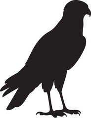 Harrier Hawk Vector Silhouette