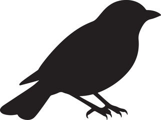 Fototapeta premium Iguazu Tanager Vector Silhouette