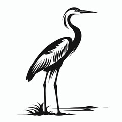 Obraz premium Illustration of heron bird wildlife avian animal nature black and white silhouette graphic design art vector