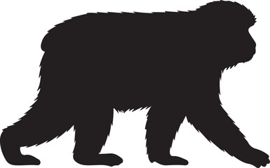 Japanese Macaque Vector Silhouette