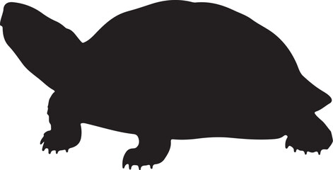 Kasai River Turtle Vector Silhouette