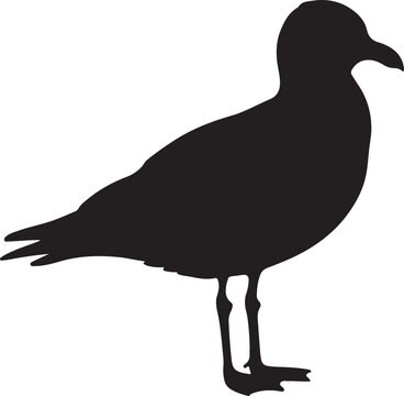 black seagull silhouette standing profile clip art preview