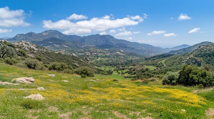 Naklejka premium Verdant valley extends towards distant mountains under a blue sky