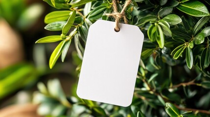 Blank white tag hangs from a green leafy plant