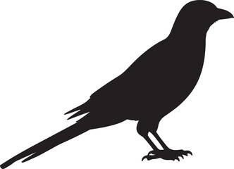 Magpie Vector Silhouette