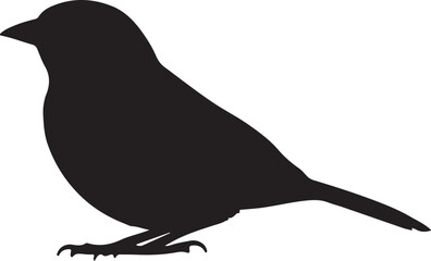 Neddicky Vector Silhouette