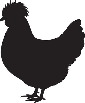 Paduan Chicken Vector Silhouette