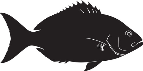Queen Snapper Vector Silhouette