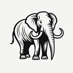 Obraz premium Elephant illustration vector animal wildlife nature africa african mammal graphic wild safari zoo art big silhouette