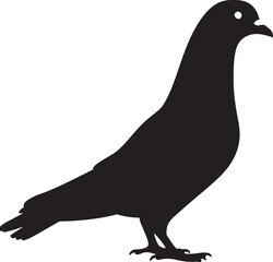 Racing Homer Pigeon Vector Silhouette