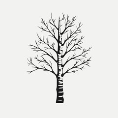 Obraz premium Black birch tree silhouette vector illustration nature design forest woods botanical art graphic element isolated