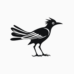 Fototapeta premium Black bird roadrunner vector illustration design graphic silhouette animal wildlife nature icon drawing art 100