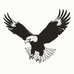Obraz premium Eagle bald eagle bird flying wildlife predator nature animal freedom america usa illustration graphic art silhouette